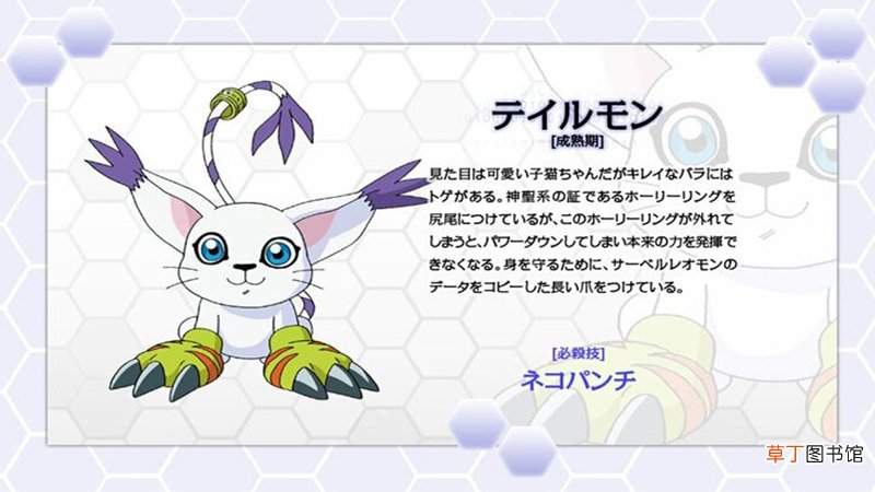 迪路兽进化的全部形态