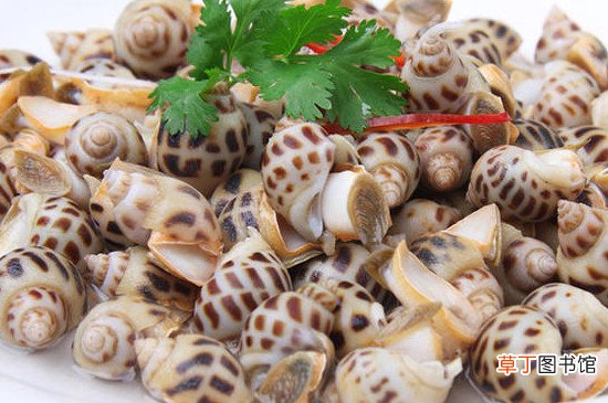 白灼花螺煮几分钟窍门