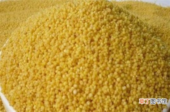 山药和小米能一起吃吗