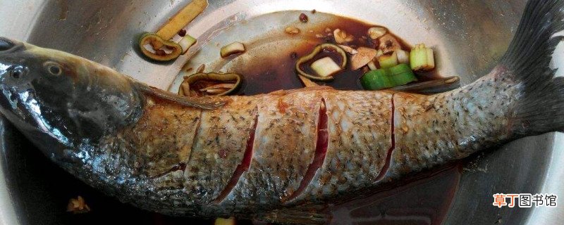 木炭烤鱼的做法及配料