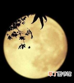 中秋节贺词祝福语简短 中秋节的好句摘抄