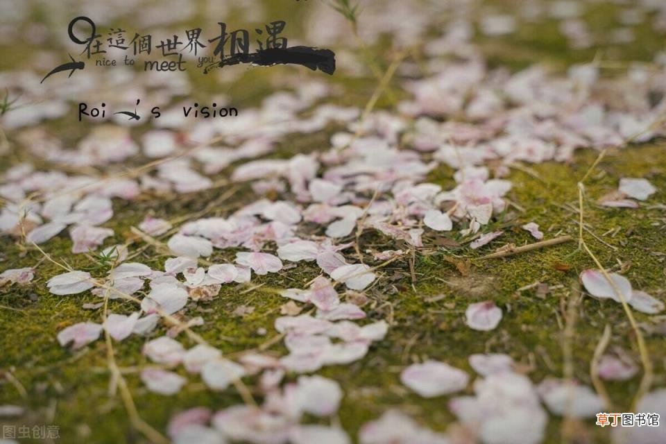 好词好句摘抄大全优美 好词好句摘抄