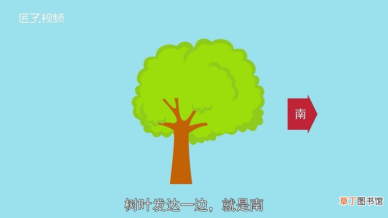 野外迷路如何判断方向和求救