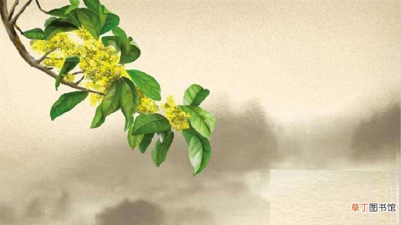 欲买桂花同载酒终不似少年游是什么意思