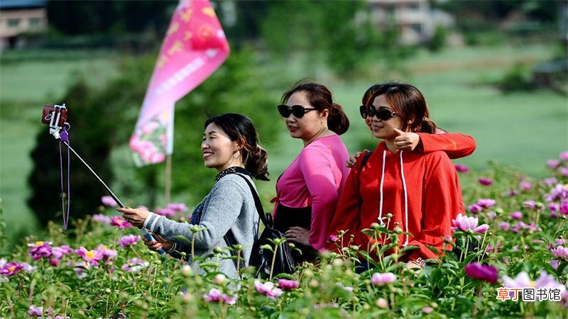 12349服务平台是什么