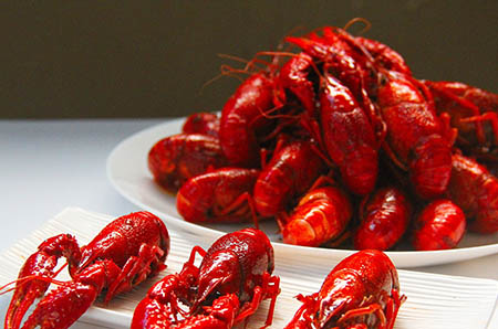 备孕“鸭梨”山大？试试这几个助孕好方法吧！