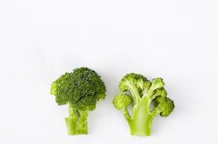 丰胸操真的有用吗