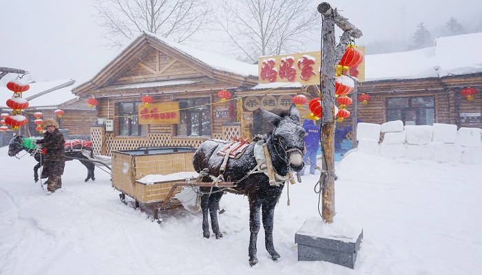 梦见天气很冷是什么意思 梦见天气很冷有什么预兆