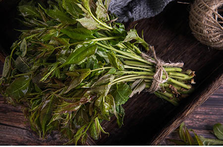 输卵管堵塞吃什么食物能通