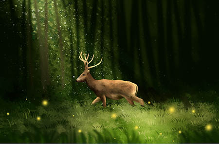 乳晕大乳头小是为什么