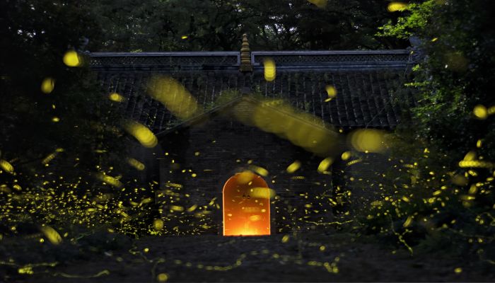 梦见死去的亲人说没钱了是什么意思 梦见死去的亲人说没钱了有什么预兆
