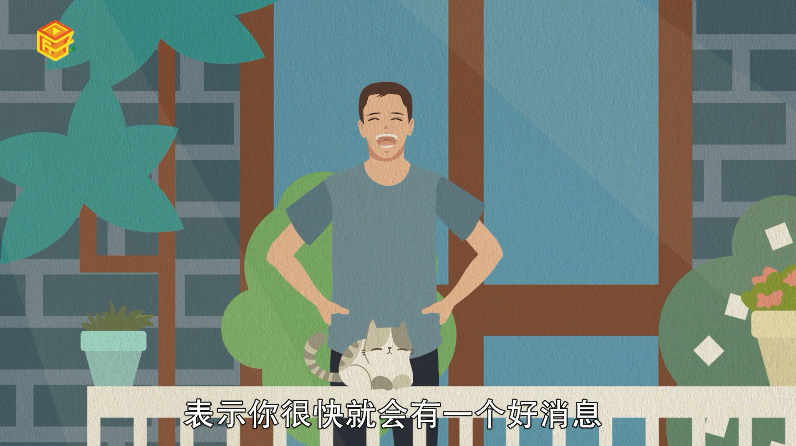 梦见生双胞胎