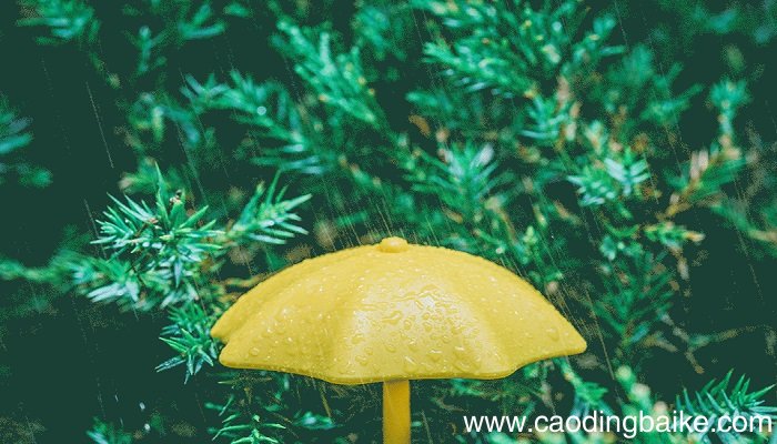 梦见天下雨是什么意思 梦见天下雨有什么预兆