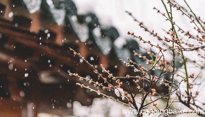 梦见天下雨是什么意思 梦见天下雨有什么预兆
