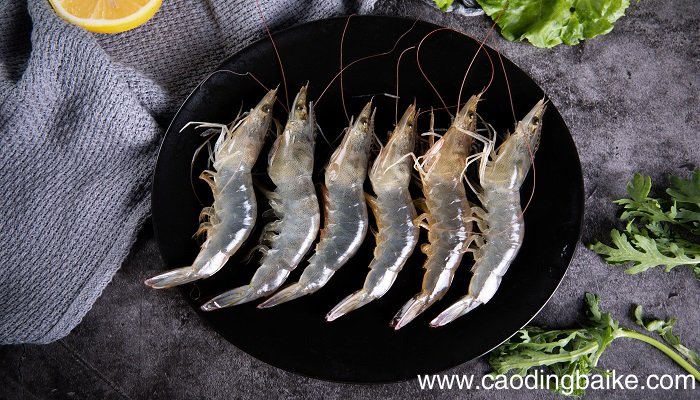 梦见虾是什么意思 梦见虾有什么预兆