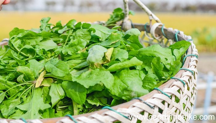 梦见挖野菜是什么意思 梦见挖野菜有什么预兆