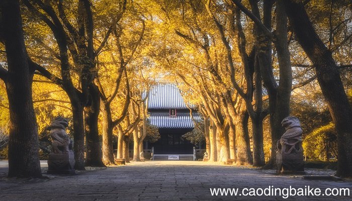 梦见寺庙和僧人是什么意思 梦见寺庙和僧人有什么预兆