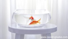 梦见鱼缸里的鱼死了是什么意思 梦见鱼缸里的鱼死了有什么预兆