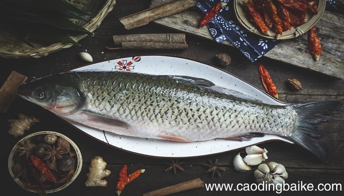 梦见鱼身上烂了还活着是什么意思 梦见鱼身上烂了还活着有什么预兆