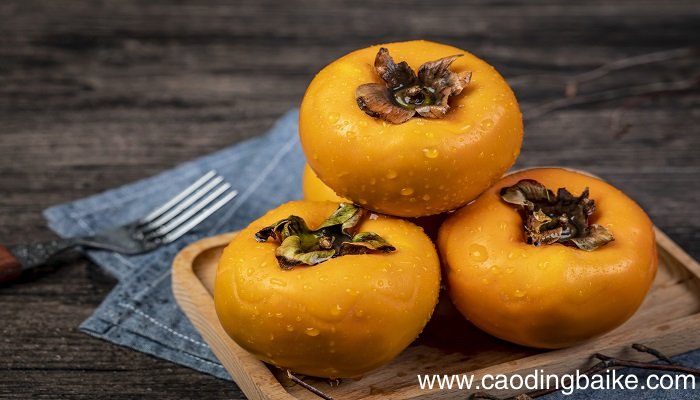 梦见摘柿子是什么意思 梦见摘柿子是什么预兆