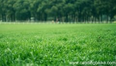 女人梦见除草是什么意思 女人梦见除草有什么预兆