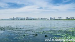 女人梦见路上全是水是什么意思 女人梦见路上全是水有什么预兆