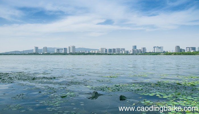 女人梦见路上全是水是什么意思 女人梦见路上全是水有什么预兆
