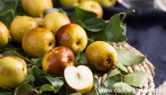 女人梦到枣树结大青枣是什么意思 女人梦到枣树结大青枣有什么