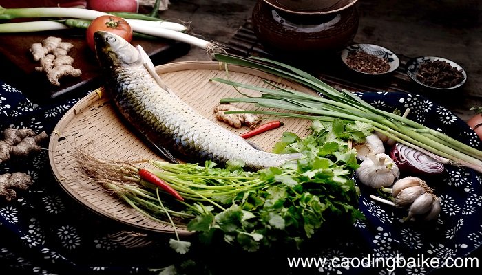 女人梦到活鱼和死鱼是什么意思 女人梦到活鱼和死鱼有什么预兆