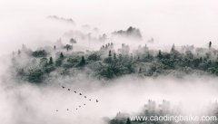 女人梦见过桥涨水了什么意思 女人梦见过桥涨水了什么预兆