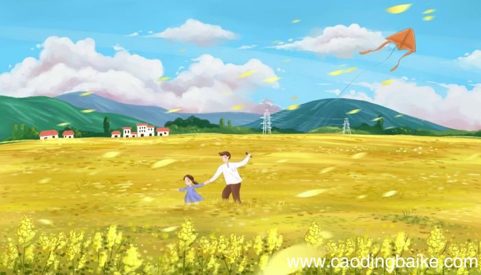 女人梦见田里水满满的什么意思 女人梦见田里水满满的什么预兆