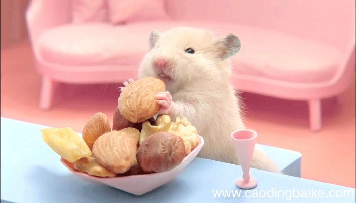 女人梦见抓到一只老鼠是什么意思 女人梦见抓到一只老鼠有什么预兆