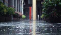 女人梦见下雨发大水什么意思 女人梦见下雨发大水什么预兆