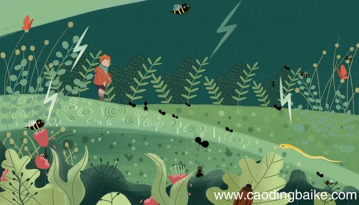 女人梦见在地上捡核桃是什么意思 女人梦见在地上捡核桃有什么预兆