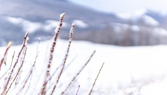 已婚女人梦见下雪是什么意思 已婚女人梦见下雪有什么预兆