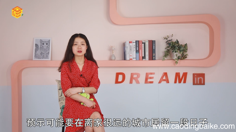 做梦梦见乌龟是什么意思