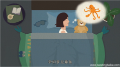 孕妇梦见章鱼