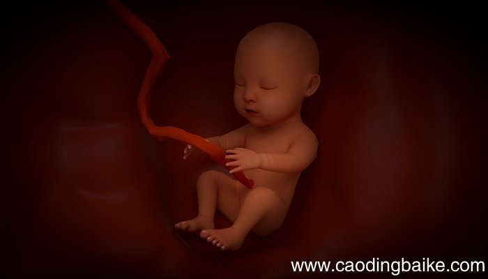 孕妇梦见胎停是什么意思 孕妇梦见胎停什么预兆