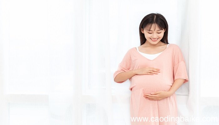 孕妇做梦梦到狗咬自己是什么意思 孕妇做梦梦到狗咬自己有什么预兆