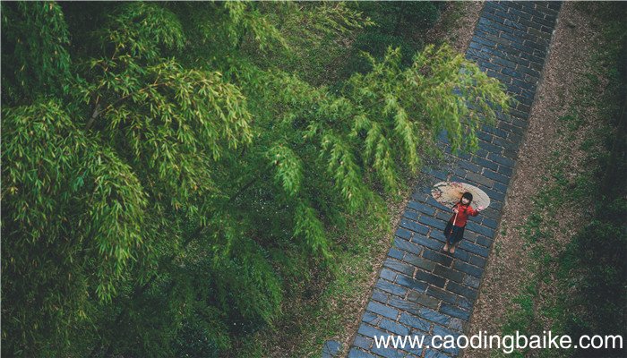 孕妇梦见下雨被淋湿是什么意思 孕妇梦见下雨被淋湿有什么预兆