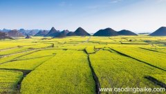 梦见菜圃是什么意思 梦见菜圃有什么预兆