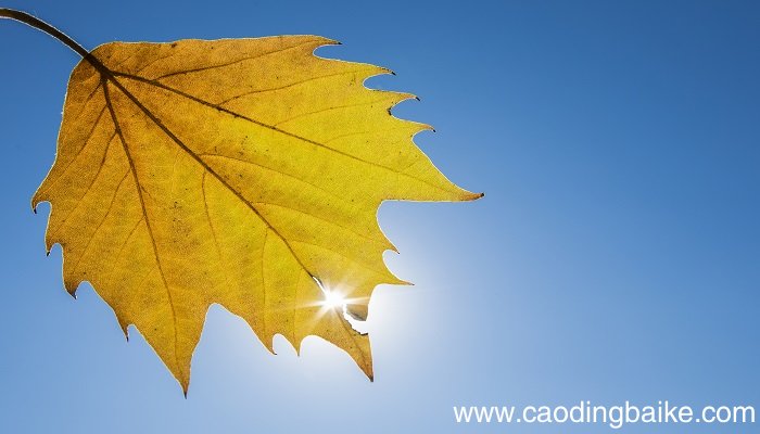 梦见天空是什么意思 梦见天空有什么预兆