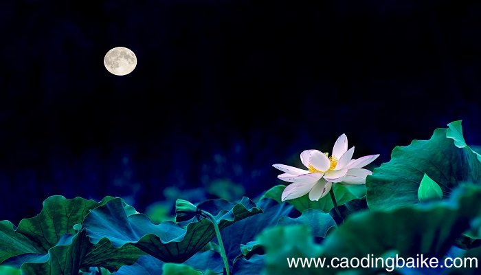 梦见月夜是什么意思 梦见月夜有什么预兆