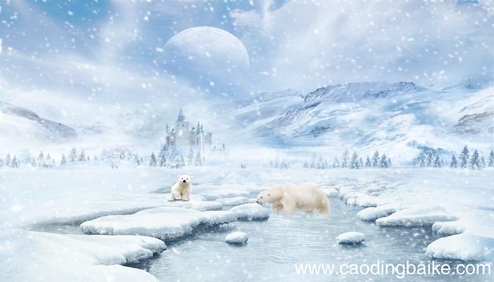 梦见下雪 下大雪是什么意思 梦见下雪 下大雪有什么预兆
