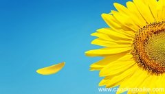 梦见太阳光是什么意思 梦见太阳光有什么预兆