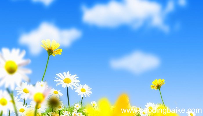 梦见光亮 光线是什么意思 梦见光亮 光线有什么预兆