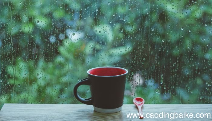 梦见雨是什么意思 梦见雨有什么预兆