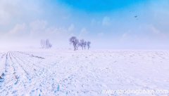 梦见雪 下雪是什么意思 梦见雪 下雪有什么预兆
