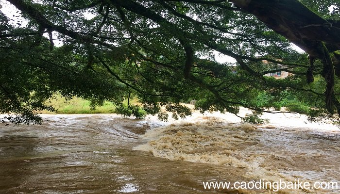 梦见涨潮是什么意思 梦见涨潮有什么预兆