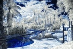 梦见雪有足迹或融化